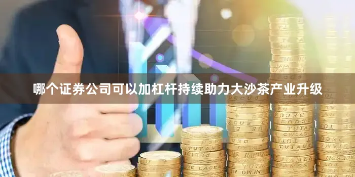 哪个证券公司可以加杠杆持续助力大沙茶产业升级